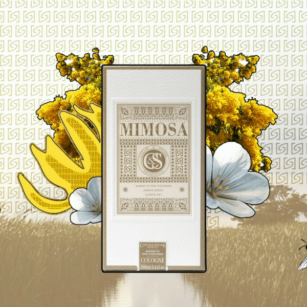 Mimosa Fragrance