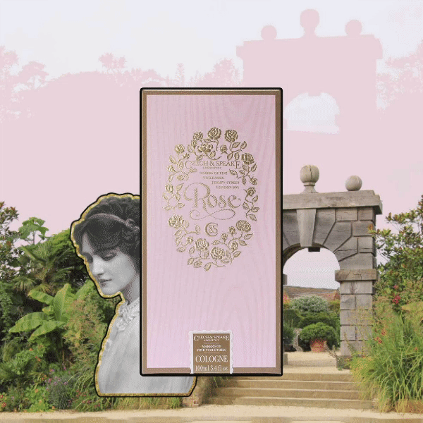 Rose Fragrance