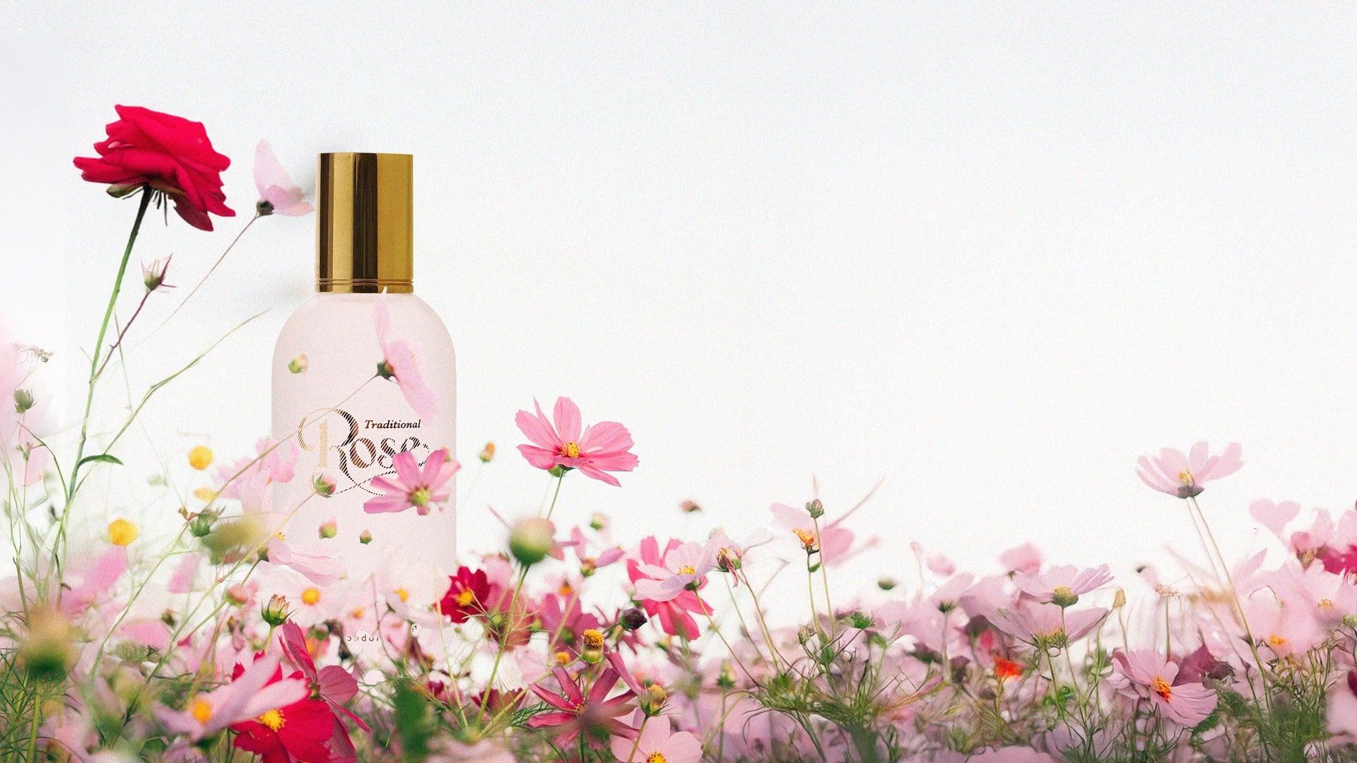 The Rose Collection – Czech & Speake