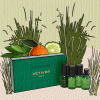 Vetiver Vert Cologne 4-Piece 0.5fl oz Travel Set - Image 2